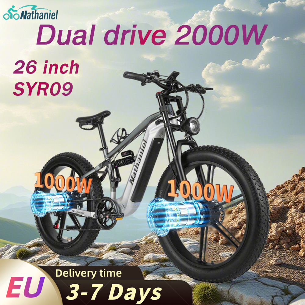 ナサニエル SYR09 電動自転車 2000W デュアルモー - Dual Motor Ebike Kit 2000W のレビューと価格