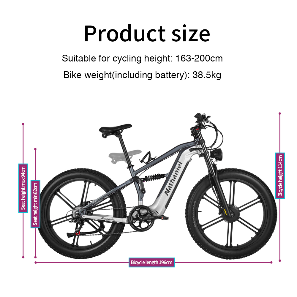 ナサニエル SYR09 電動自転車 2000W デュアルモー - Dual Motor Ebike Kit 2000W のレビューと価格