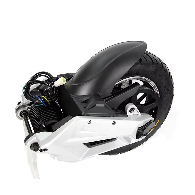 2026年最新モデル、高品質、QSMOTOR製1000W B - Mid Drive Conversion Kit 1000W のレビューと価格